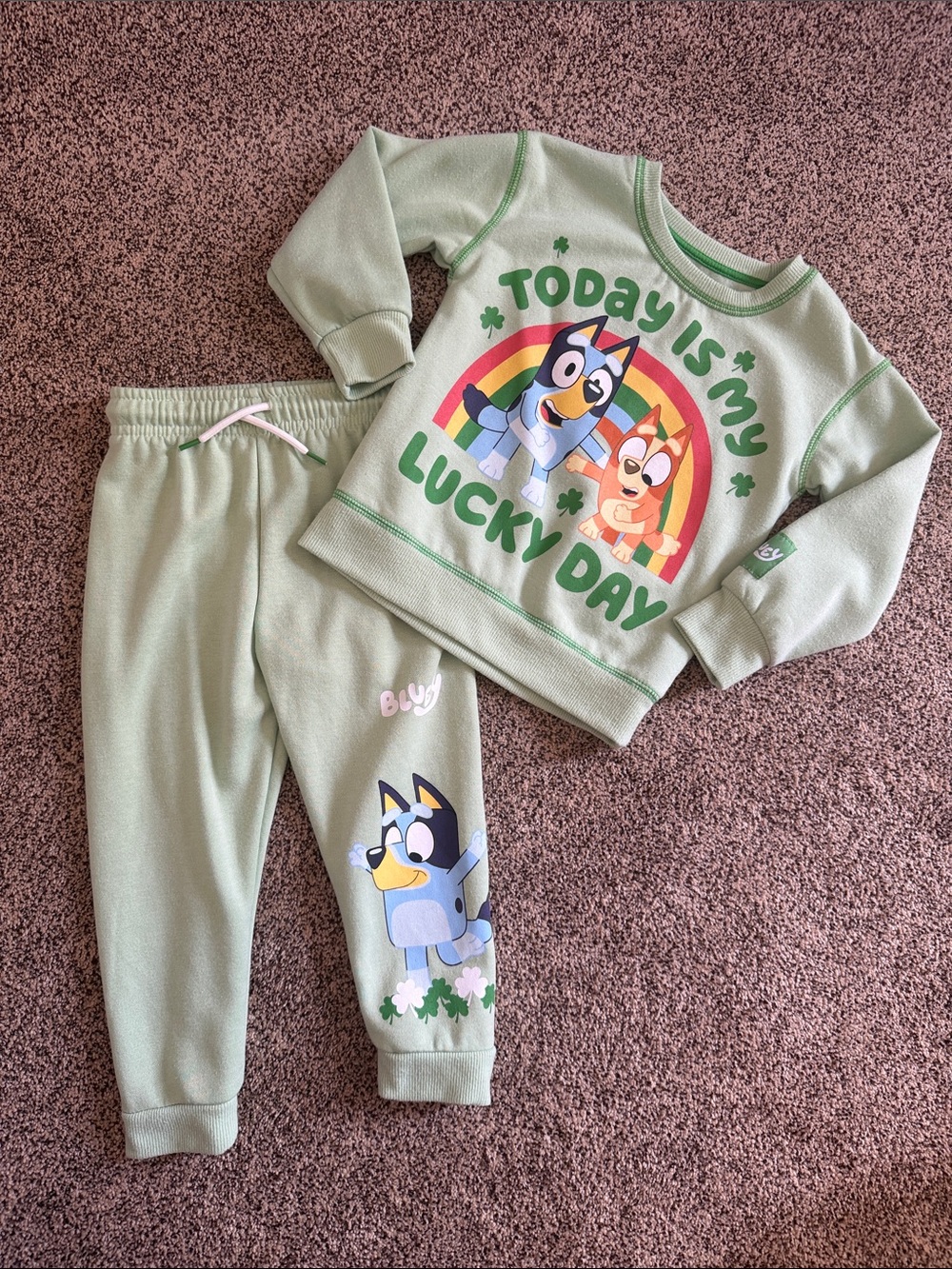 Bluey ‘Today Is My Lucky Day' Set Toddlers Size 3T